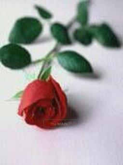 It â?¤~ Looks â?¤ Goodâ?¤ But â?¤ Feels â?¤ Even â?¤ Better