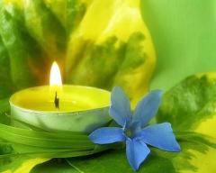 ♬♭ Its Friday.. Friday.. Friday.. Time for a Massage At Yosemite Massage ♬♭, 28