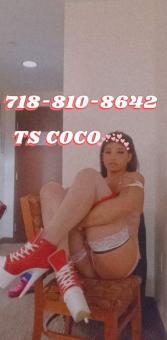 TS COCO WINCHESTER VA ????????????????, 22