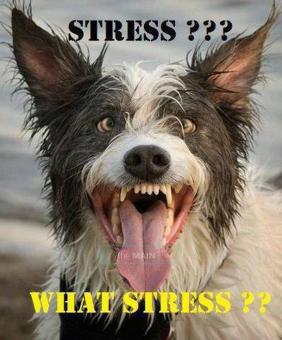 OUT-CALL Credit Ok If Funs On Your List Call Me Cause Ur My Kind Of Twist Massage Etc Ur Locat 24:7, 21