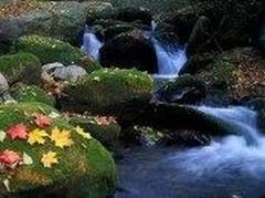 *(.)(.) Specials* Private *(.)(.)* Sensual Massage Highly Reviewed * Relaxation at its Very Best, 27