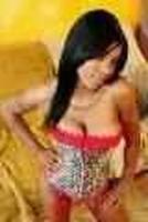 the lovely dulce, 24