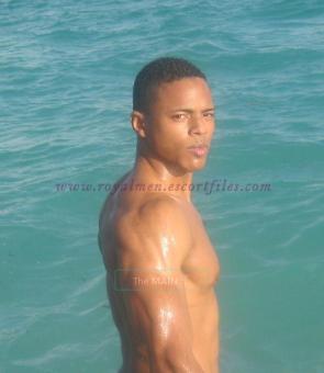 NEW NUEVO Mike Tall Muscular Top -- Alto Muscular Top Mulato- Cubano, 25
