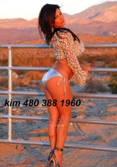 California Brunnette Barbie Doll.