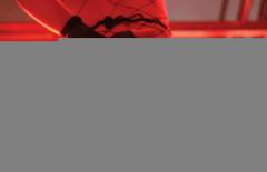 Private Boutique Upscale Agency iso Sexy Models for Massage/Escort work $500-$1000+DAY, 29