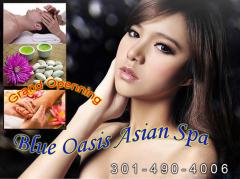 " BRAND NEW!! "â€”â€”â–ˆ Gorgeous Treatment â–ˆ â€”â€”â€”"BLUE OASIS Asian Spa"â€”â€”â€” Awesom Asia, 23