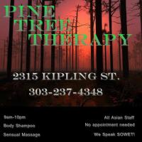 Pine Tree Therapy - Asian Body Massage and Therapy 2 New Girls!, 21