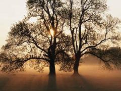 Relax and Rejuvenate, 40