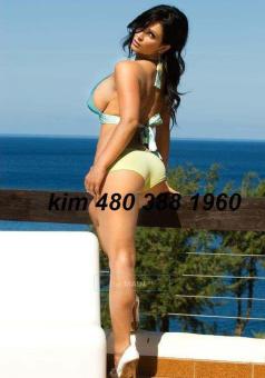 California Brunnette Barbie Doll.