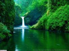 HoT ::: FrUiT::: OiL ::::: Nude ::::: Body :::: Rubs ::::: OutcallsOnly TrAcIe::: 225-241-2139:::, 39