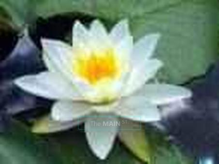 Ya Im l@@king at you!.. you need a massage... come over and see what Im talking about.., 28