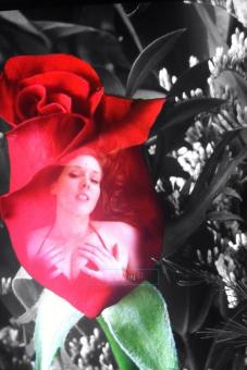 Curvy HIPS**SUCKulent LIPS**Available NOW!!! ( Special ) Prompt OUTCALL/INcall, 22