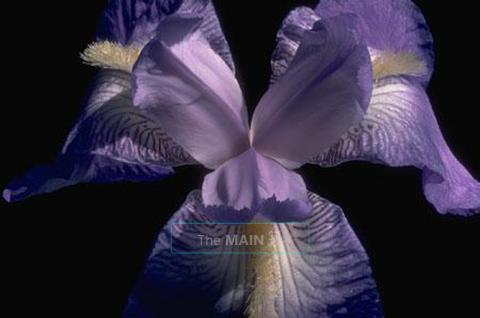What a beautiful day it is,... Is your body feeling the same way? Come by for a massage, 28