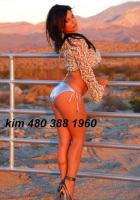 California Brunnette Barbie Doll.