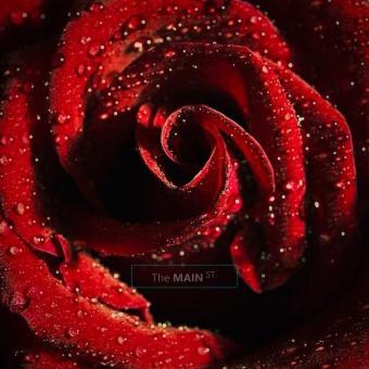~~~~~ SeXXy Redhead Incall $pecial$ ~~~~~ Available Now ~~~~~, 30