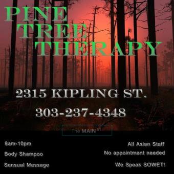 Pine Tree Therapy - Asian Body Massage and Therapy 2 New Girls!, 21