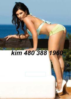 California Brunnette Barbie Doll.
