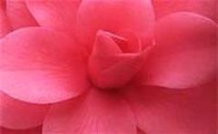 *=*=*=*=* (((HOTEL MASSAGE SERVICE))) *=*=*=*=* Body2Body Sensual Touching ~~~~~~ Up Late ~~~~~, 38