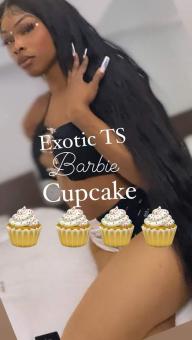 Cicero ?? Midway/CiceroTs Cupcake ?? ?? ?? ??, 23
