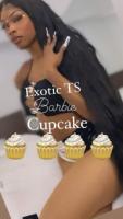 Cicero ?? Midway/CiceroTs Cupcake ?? ?? ?? ??, 23