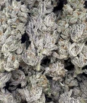 Need ?????? Delivery 24 hrs, 28