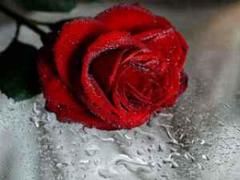 ❀ ---- YOSEMITE MASSAGE - is here to relax that sore back you have ---- ❀, 28