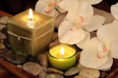 special GUEST today**New spa, 23