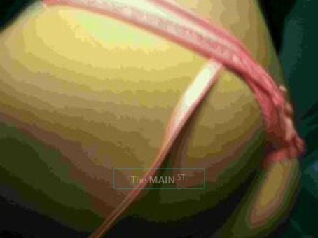 â€¢=== ExOTiC BEAUTy ===â€¢ â™¥A KNOCK OUT â™¥â€¢=== (Filarican Bomshell)===â€¢ â™¥, 25