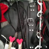 Restrained Corporal Punishment SS BBW VA, 55
