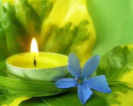~*~*~*~ Hi come on by Yosemite Massage, Your body will be glad you did. ~*~*~*~, 28