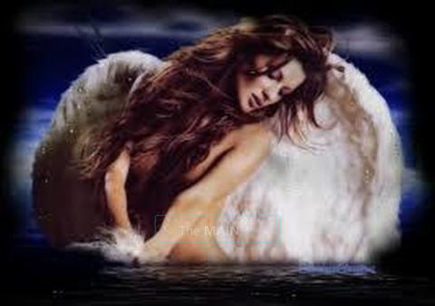 Ashalees Angels (Many Beautiful Tourig Models) All Month.., 25