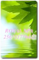=========== ======= HUNSTVILLES BEST ORIENTAL SPA!_ ========= =======, 26