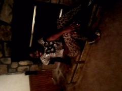40 roses.. im saddled up come take a stallion..... 120 have it ur way, 20