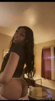 Exotic and Petite Ts Bambi Visiting Limited Time Only, 24