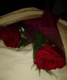Â»Â»Â»$PECIAL$Â«Â«Â« ((SEXY)) {{EROTIC}} [[PLAYMATE]] Â»Â»Â»$PECIAL$Â«Â«Â«, 24