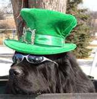 Spend The Evening Out in the Country with an Irish Girl Under The Stars With A Hot Tub/Massage, 40