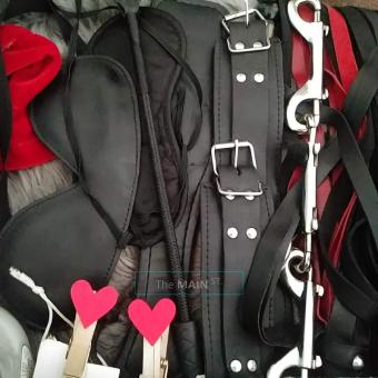 Restrained Corporal Punishment SS BBW VA, 55