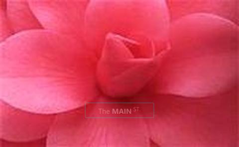 *=*=*=*=* (((HOTEL MASSAGE SERVICE))) *=*=*=*=* Body2Body Sensual Touching ~~~~~~ Up Late ~~~~~, 38