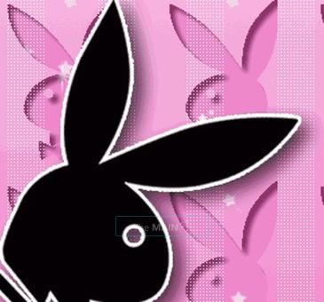 â˜…~ Exotic Beautiful... Italian Salvador Mixx~â˜…, 20