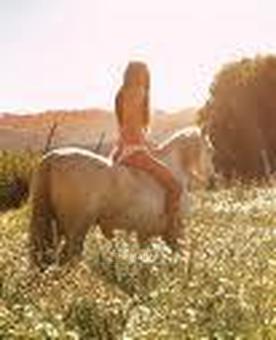 Spend The Evening Out in the Country with an Irish Girl Under The Stars With A Hot Tub/Massage, 40