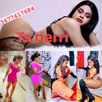 ??????????Dominican mami spicy ?? SHOWS AVAILABLE caliente for you papi??, 24