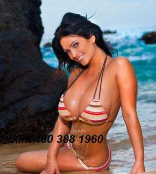 California Brunnette Barbie Doll.