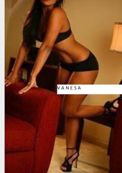 NEW ... Sexy Staff ... JESICA .. GABY ... SARA .. 954-791-4394 .. Paradise ... TILL 3 30 AM, 23