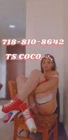 TS COCO WINCHESTER VA ????????????????, 22