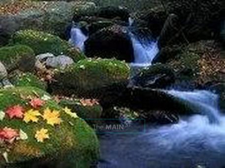 *(.)(.) Specials* Private *(.)(.)* Sensual Massage Highly Reviewed * Relaxation at its Very Best, 27