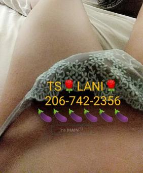 TS ??LANI?? in FIFE ??Top & Bottom ??, 26