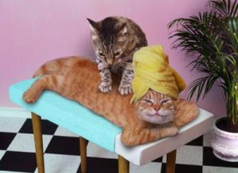 ---- ❀ -------- YOSEMITE MASSAGE -------- ❀ ----, 28