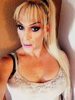 White Southern Belle two more days only two more days only visiti, 30