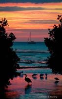 Indulgeâ™¥ â€¢*"*â€¢ â™¥ yourâ™¥ â€¢*"*â€¢ â™¥ Sensesâ™¥ â€¢*"*â€¢ â™¥ with ..., 38