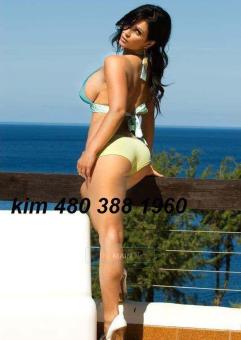 California Brunnette Barbie Doll.
